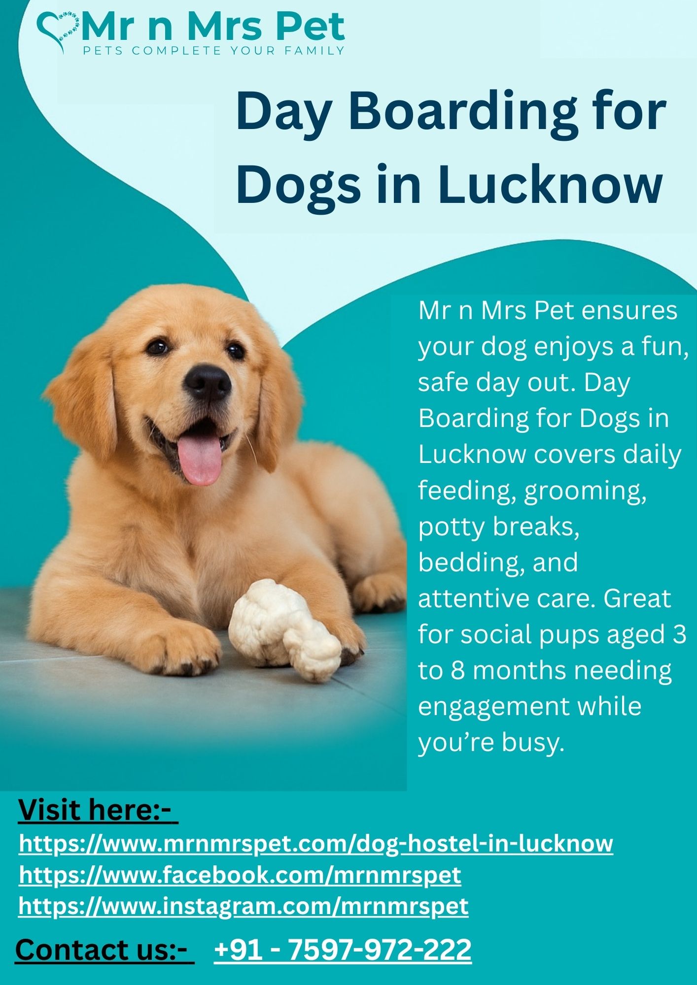 Day Boarding for Dogs in Lucknow
